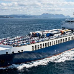 Cargo Handling 2