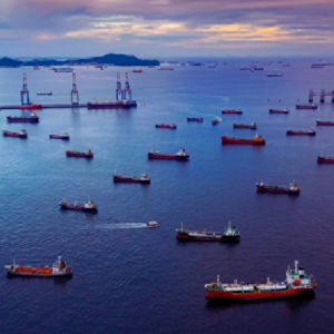 Fleets and Cargoes of the European Short Sea Shipping (SSS)